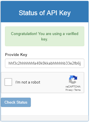 API key status