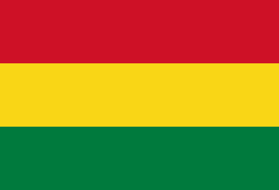 Flag of  bolivia