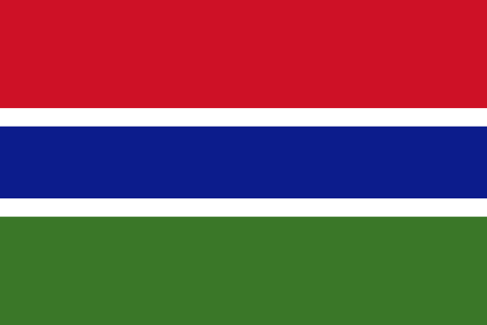 Flag of  gambia