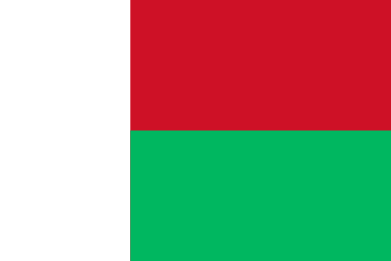 Flag of  MG