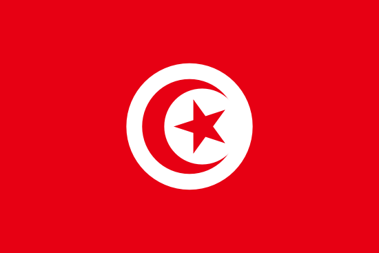 Flag of  tunisia